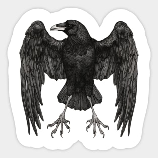 Crow Sticker